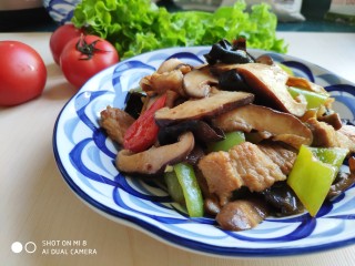 酱爆香菇木耳肉片,酱香味浓的香菇木耳肉片，特别下饭。