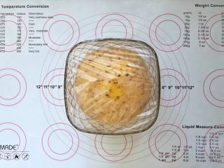 亚麻籽南瓜软欧包,8、发酵至2倍大。