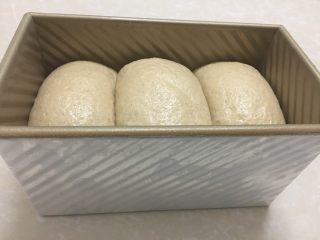 全麦吐司,二发八分满即可。