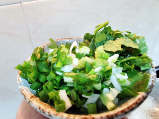 羊肉炖萝卜汤,葱花与香菜末
