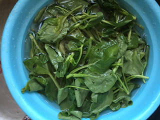 青菜平菇鸡蛋汤,小青菜清洗干净