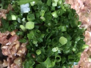 冰花牛肉锅贴,包的时候牛肉馅里加入葱花拌匀