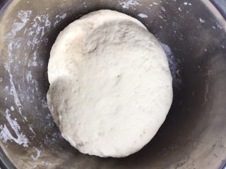 上海鲜肉锅贴（煎饺）,和成团，醒发一会